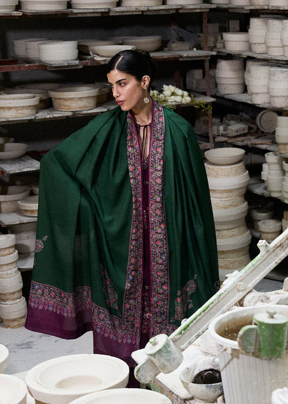 Dhanak Embroidered 3pc Article With Wool Shawl