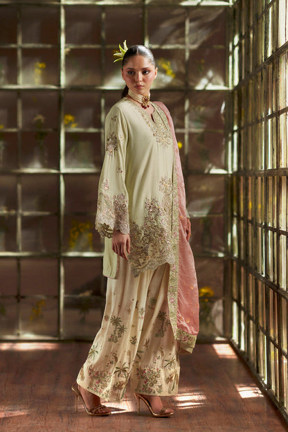 11000 Velvet Embroidered Luxury 3pc Article With silk Trouser Pista color