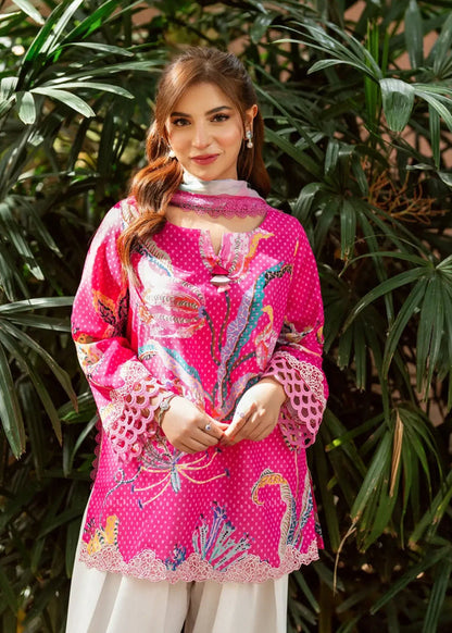 Asifa & Nabeel 3 Piece Article