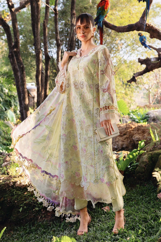 MARIA B. LUXURY BUTTERFLY 3 PC ARTICLE